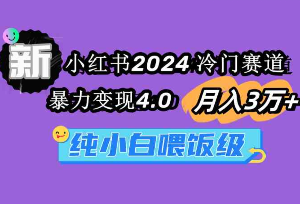 （9134期）小红书2024冷门赛道 月入3万+ 暴力变现4.0 纯小白喂饭级-大源资源网