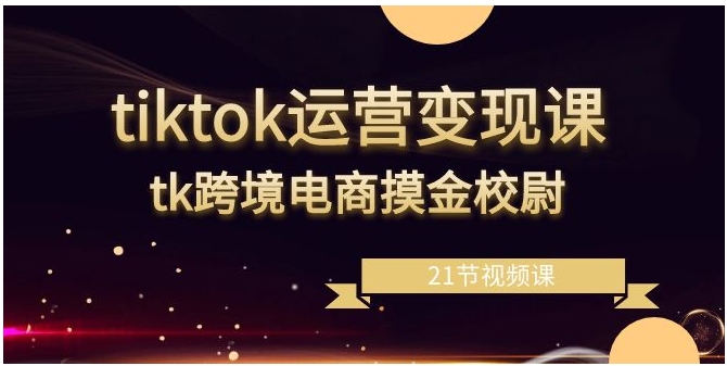 tiktok运营变现课，tk跨境电商摸金校尉-大源资源网