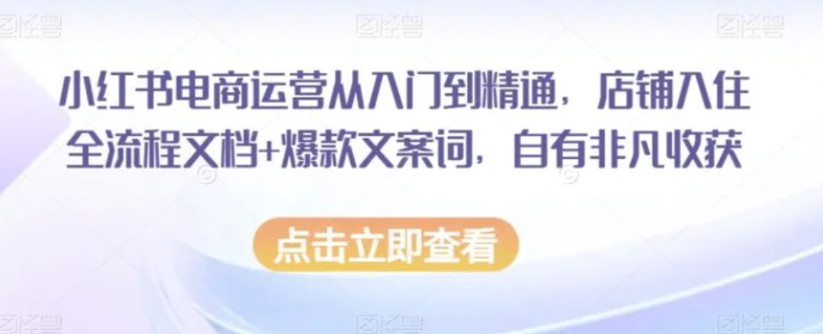 小红书电商运营从入门到精通，店铺入住全流程文档+爆款文案词，自有非凡收获-大源资源网