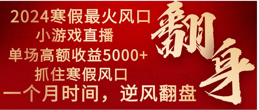 2024年最火寒假风口项目 小游戏直播 单场收益5000+抓住风口 一个月直接提车-大源资源网