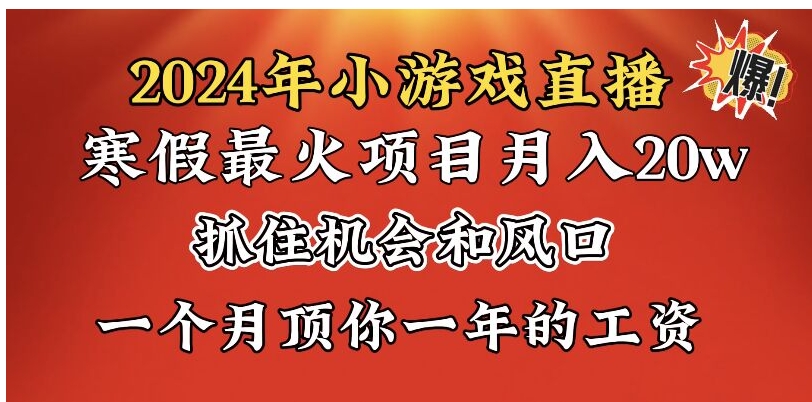 2024年寒假爆火项目，小游戏直播月入20w+，学会了之后你将翻身-大源资源网