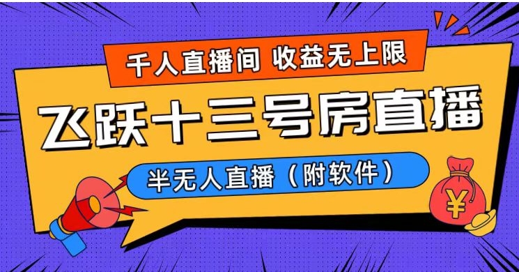 爆火飞跃十三号房半无人直播，一场直播上千人，日入过万！-大源资源网