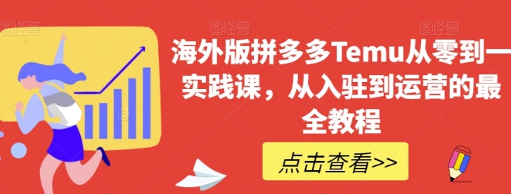 海外版拼多多Temu从零到一实践课，从入驻到运营的最全教程-大源资源网