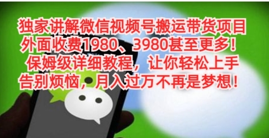 独家讲解微信视频号搬运带货项目，保姆级详细教程-大源资源网