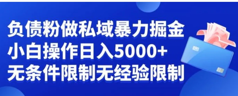 负债粉私域暴力掘金，小白操作入5000，无经验限制，无条件限制【揭秘】-大源资源网