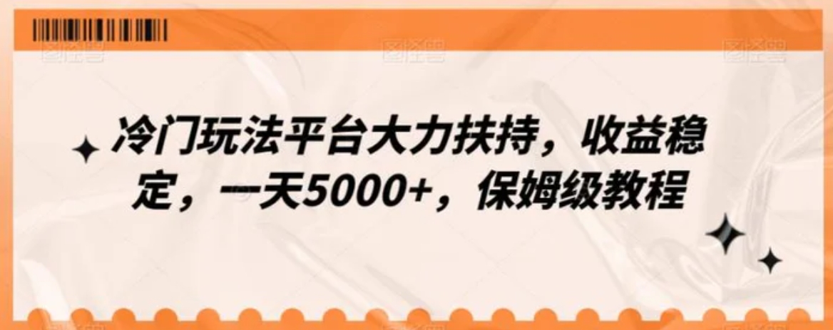 冷门玩法平台大力扶持，收益稳定，一天5000+，保姆级教程-大源资源网