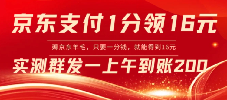 京东支付1分得16元实操到账200-大源资源网