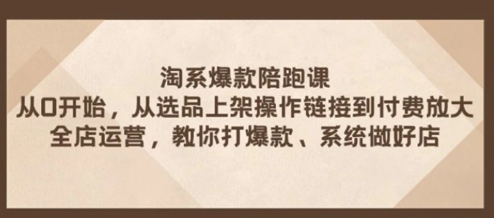 淘系爆款陪跑课 从选品上架操作链接到付费放大 全店运营 打爆款 系统做好店-大源资源网