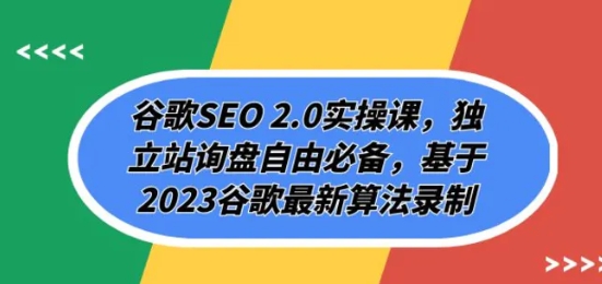 谷歌SEO 2.0实操课，独立站询盘自由必备，基于2023谷歌最新算法录制（94节-大源资源网