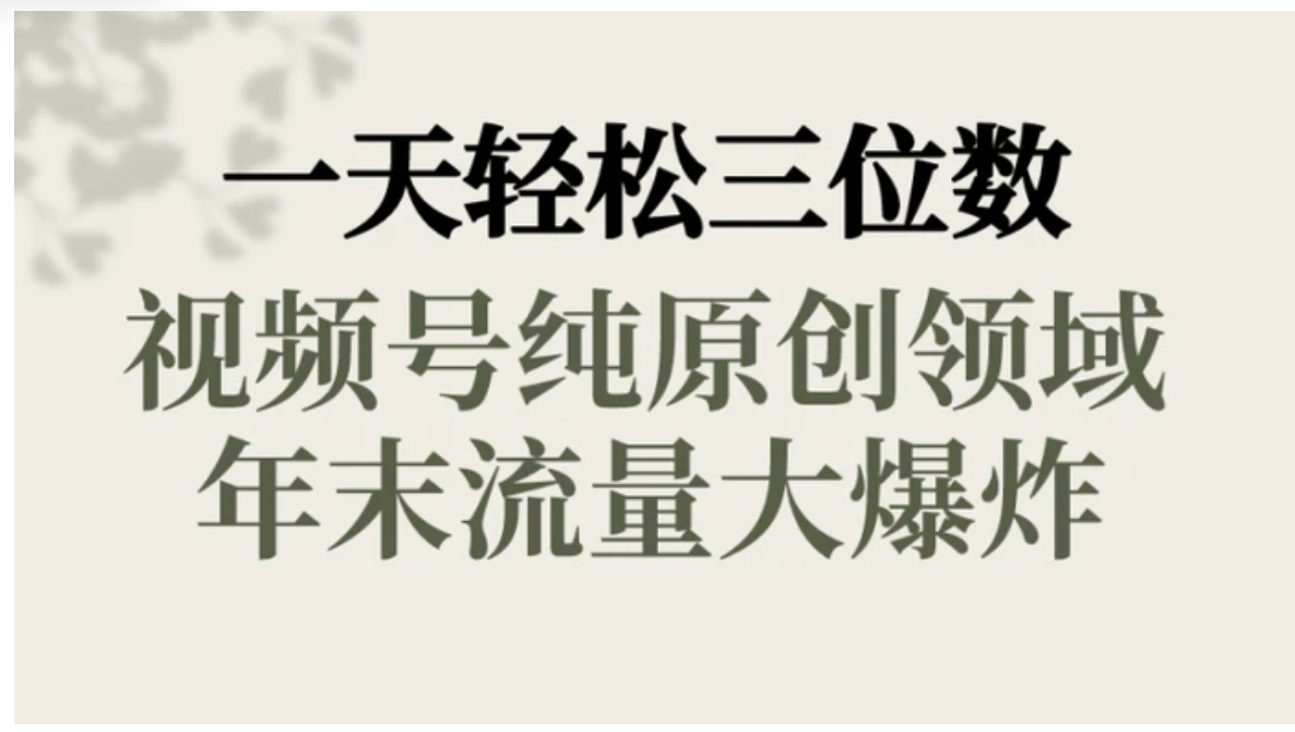 一天轻松三位数，视频号纯原创领域，春节童子送祝福，年末流量大爆炸，-大源资源网