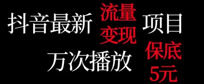 抖音流量变现，万次播放保底5元，额外收入-大源资源网