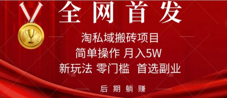 淘私域搬砖项目，利用信息差月入5W，每天无脑操作1小时，后期躺赚-大源资源网