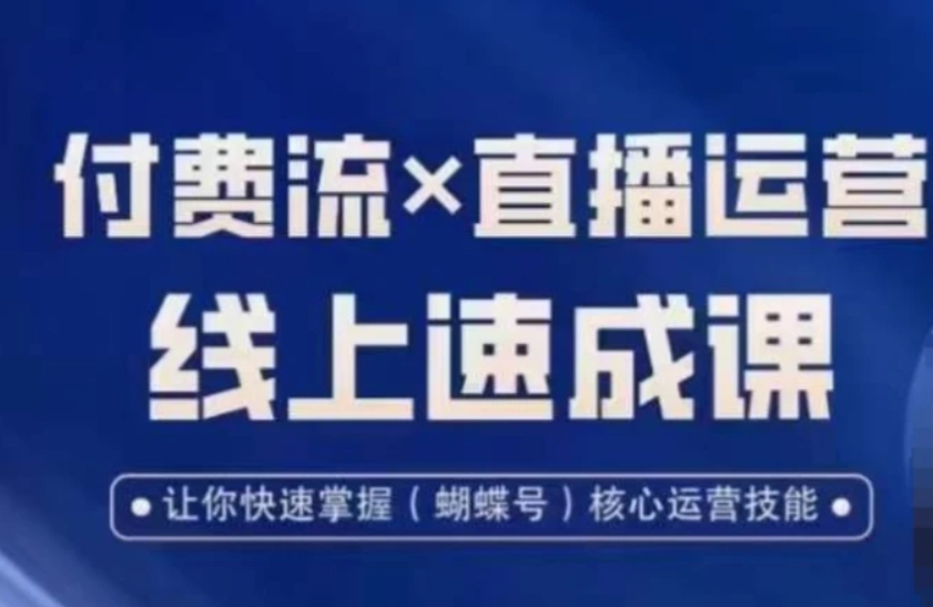 视频号付费流实操课程，付费流✖️直播运营速成课，让你快速掌握视频号核心运营技能-大源资源网