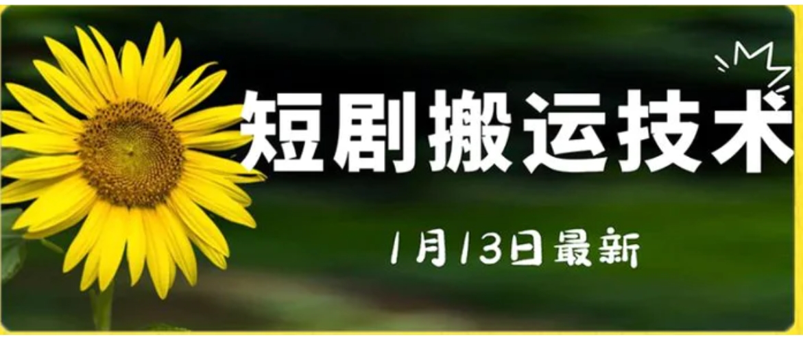 最新短剧搬运技术，电脑手机都可以操作，不限制机型-大源资源网