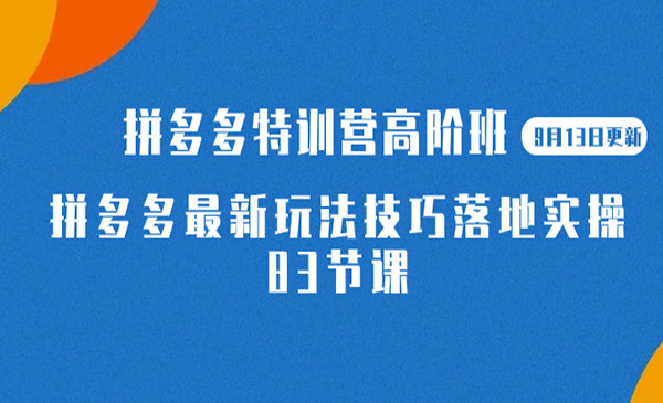 《拼多多最新玩法技巧落地实操》-大源资源网