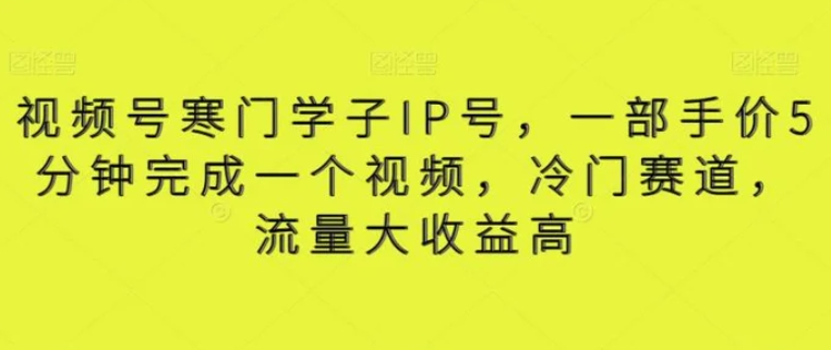 视频号寒门学子IP号，一部手价5分钟完成一个视频，冷门赛道，流量大收益高【揭秘】-大源资源网