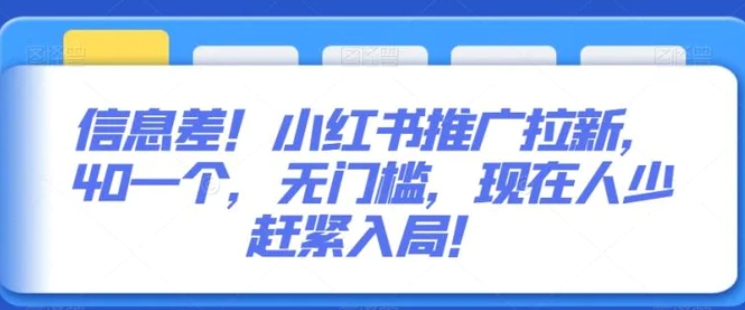 信息差！小红书推广拉新，40一个，无门槛，现在人少赶紧入局！-大源资源网