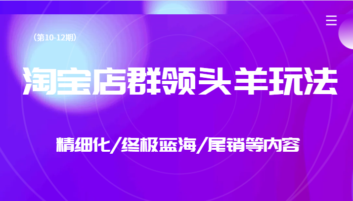 淘宝店群领头羊玩法，精细化/终极蓝海/尾销等内容-大源资源网