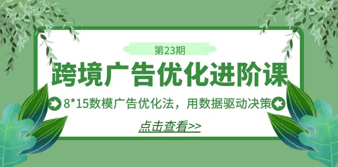 跨境广告·优化进阶课·第23期，8*15数模广告优化法，用数据驱动决策-大源资源网