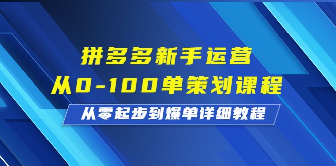 拼多多新手运营从0-100单策划课程，从零起步到爆单详细教程-大源资源网