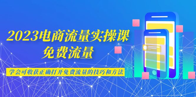 2023电商流量实操课-免费流量，学会可收获正确打开免费流量的技巧和方法-大源资源网