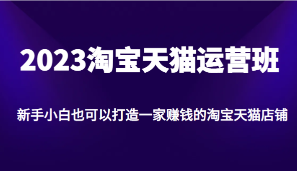 2023淘宝天猫运营班，新手小白也可以打造一家赚钱的淘宝天猫店铺-大源资源网