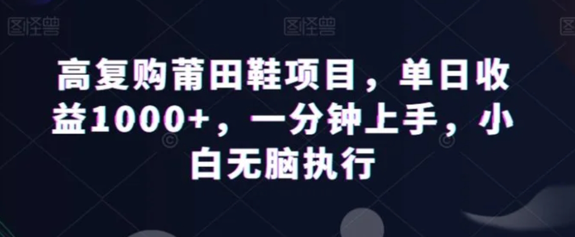 高复购莆田鞋项目，单日收益1000+，一分钟上手，小白无脑执行-大源资源网