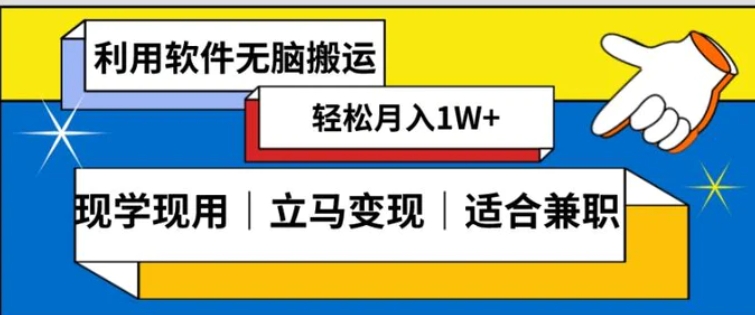 低密度新赛道视频无脑搬一天1000+几分钟一条原创视频零成本零门槛超简单【揭秘】-大源资源网