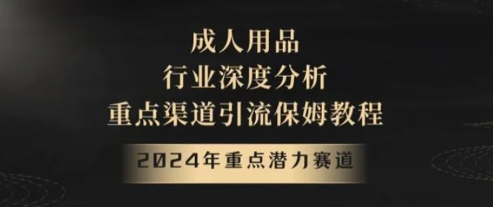 2024年重点潜力赛道，成人用品行业深度分析，重点渠道引流保姆教程【揭秘】-大源资源网