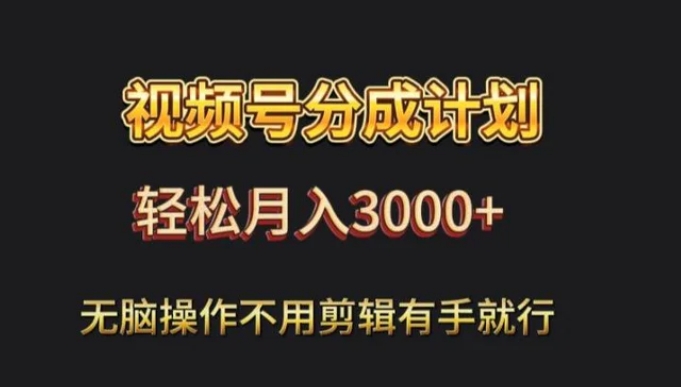 视频号流量分成，不用剪辑，有手就行，轻松月入2000+-大源资源网