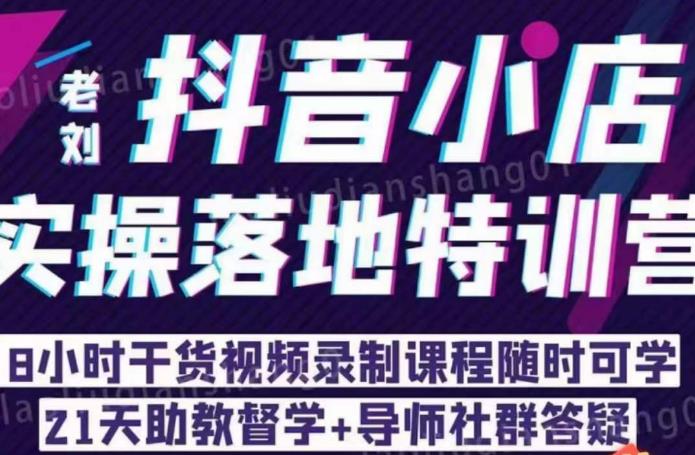 抖店商品卡流量，抖音小店实操落地特训营，8小时干货视频录制课程随时可学-大源资源网