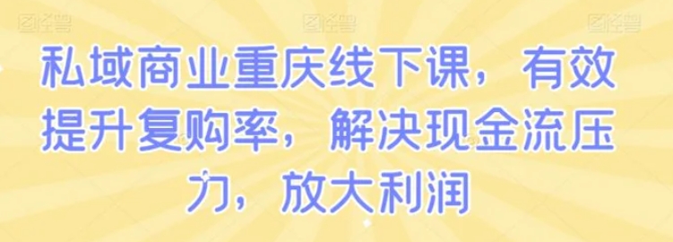 私域商业重庆线下课，有效提升复购率，解决现金流压力，放大利润-大源资源网