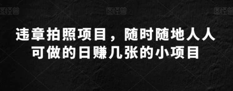 违章拍照项目，随时随地人人可做的日赚几张的小项目-大源资源网