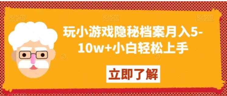 玩小游戏隐秘档案月入5-10w+小白轻松上手【揭秘】-大源资源网