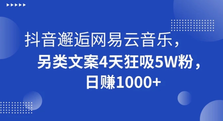 抖音邂逅网易云音乐，另类文案4天狂吸5W粉，日赚1000+【揭秘】-大源资源网