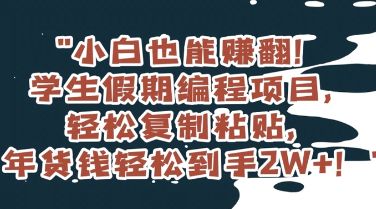 小白也能赚翻！学生假期编程项目，轻松复制粘贴，年货钱轻松到手2W+【揭秘】-大源资源网