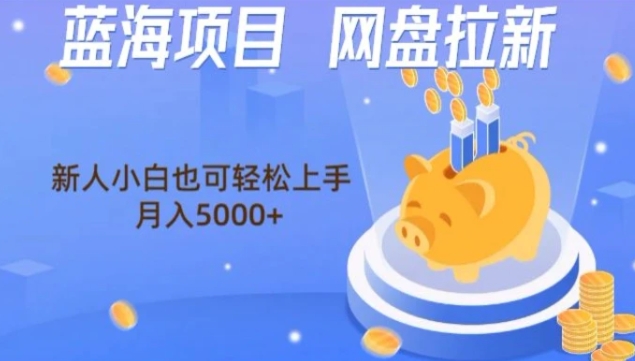 蓝海项目网盘拉新，新人小白也可操作，每月收入5000+-大源资源网