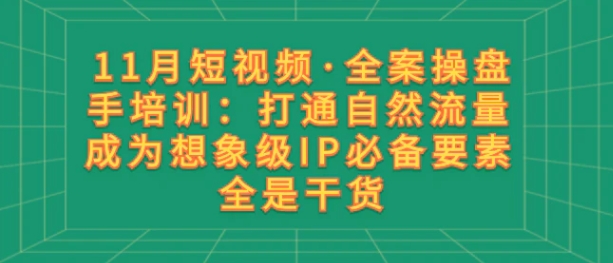 11月短视频·全案操盘手培训：打通自然流量 成为想象级IP必备要素 全是干货-大源资源网