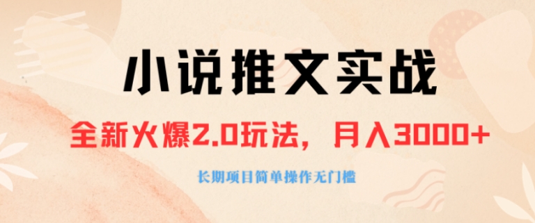 外面收费990的小说推广软件，零粉丝可变现，月入3000+，小白当天即上手-大源资源网