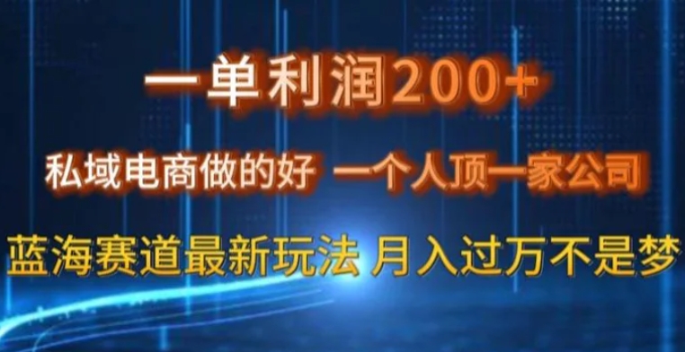 一单利润200私域电商做的好，一个人顶一家公司蓝海赛道最新玩法【揭秘】-大源资源网