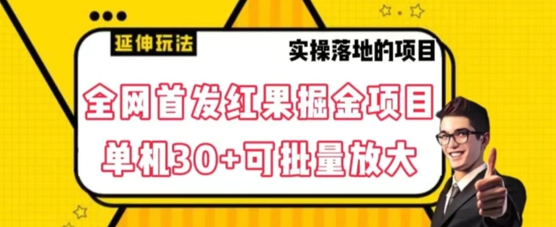 全网首发红果免费短剧掘金项目，单机30+可批量放大【揭秘】-大源资源网