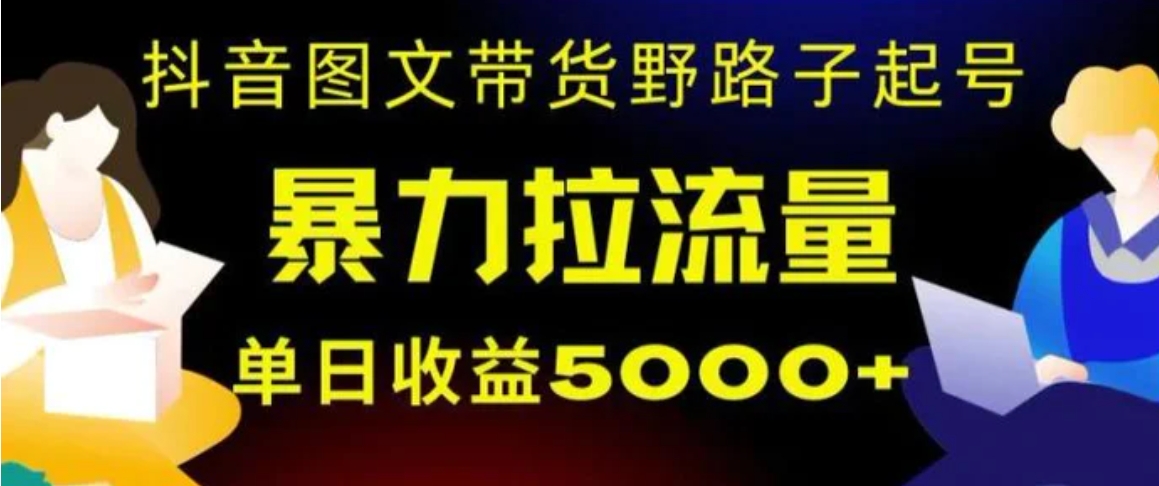 抖音图文带货暴力起号，单日收益5000+，野路子玩法，简单易上手，一部手机即可【揭秘】-大源资源网