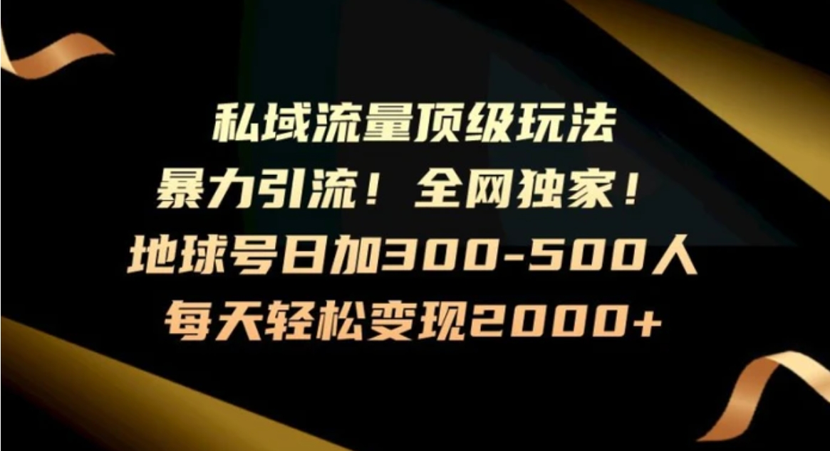 暴力引流，全网独家，地球号日加300-500人，私域流量顶级玩法，每天轻松变现2000+-大源资源网