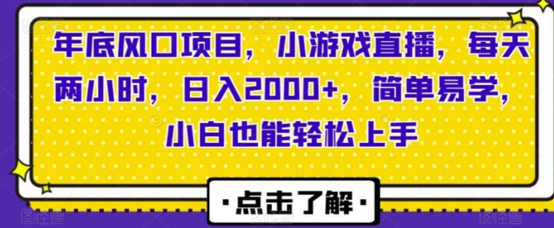 年底风口项目，小游戏直播，每天两小时，日入2000+，简单易学，小白也能轻松上手-大源资源网