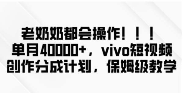 老奶奶都会操作，新平台无脑操作，单月40000+，vivo短视频创作分成计划【揭秘】-大源资源网