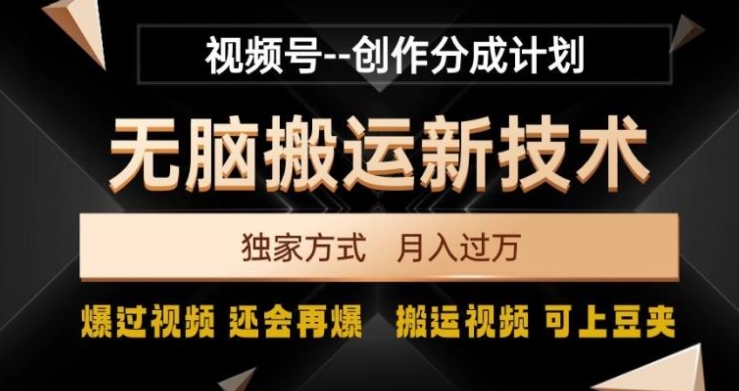 视频号无脑搬运新技术，破原创壕流量，独家方式，爆过视频，还会再爆【揭秘】-大源资源网