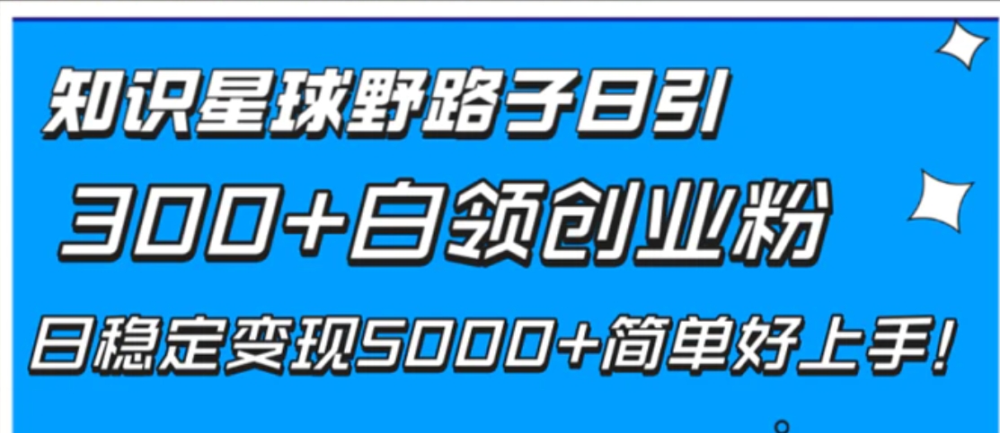 知识星球野路子日引300+白领创业粉，日稳定变现5000+简单好上手！-大源资源网