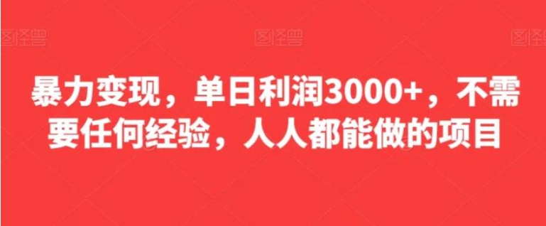 暴力变现，单日利润3000+，不需要任何经验，人人都能做的项目-大源资源网