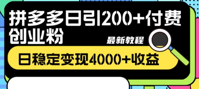 拼多多日引200+付费创业粉，日稳定变现4000+收益最新教程-大源资源网