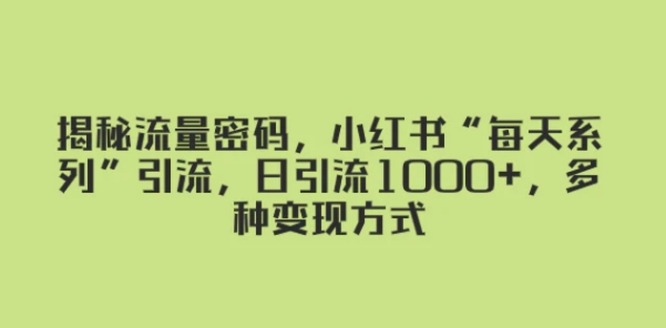 揭秘流量密码，小红书“每天系列”引流，日引流1000+，多种变现方式-大源资源网